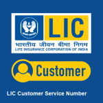 LIC Customer Service