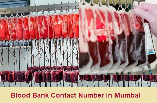 Blood Bank Contact Number in Mumbai